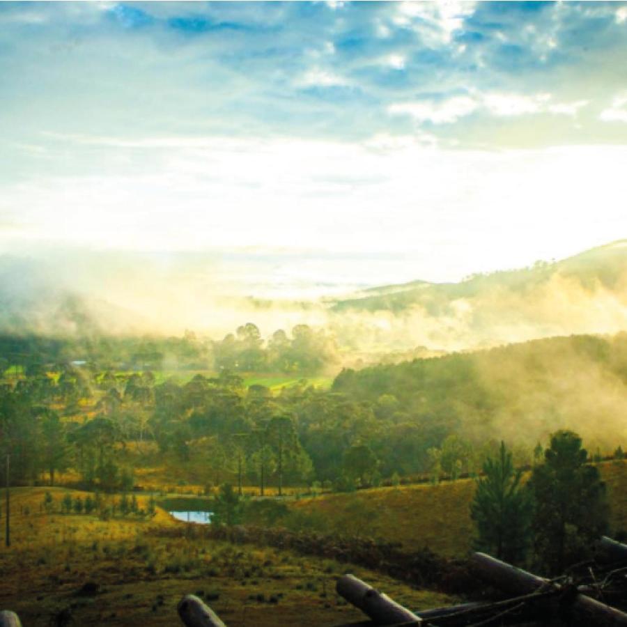 Yahoo Ecolodge Rio Rufino Екстериор снимка